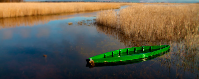 Parque Nacional de Las Tablas de Daimiel