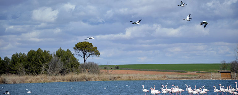 Laguna de Navaseca