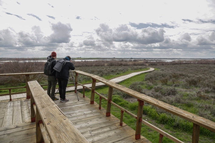 turistas tablas