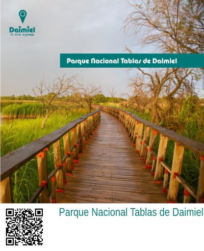 Tablas de Daimiel