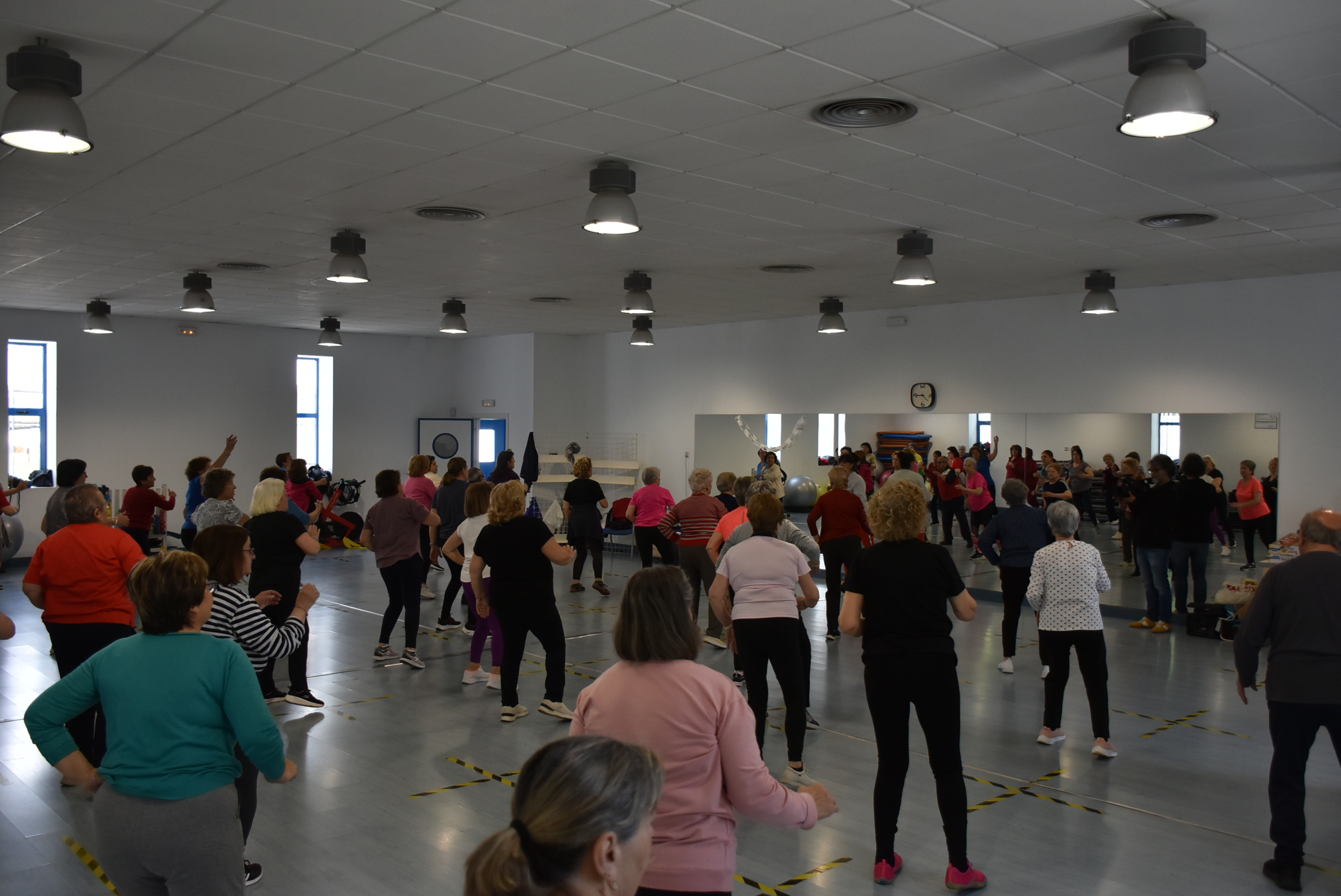 Durante la actividad