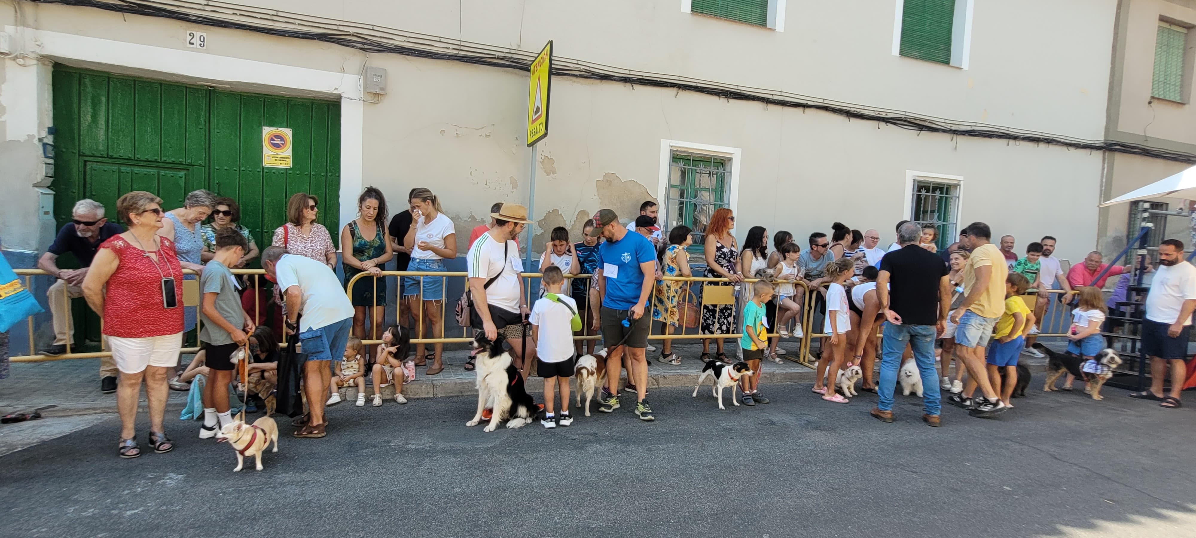 Concurso 'El perro de San Roque 2025'.