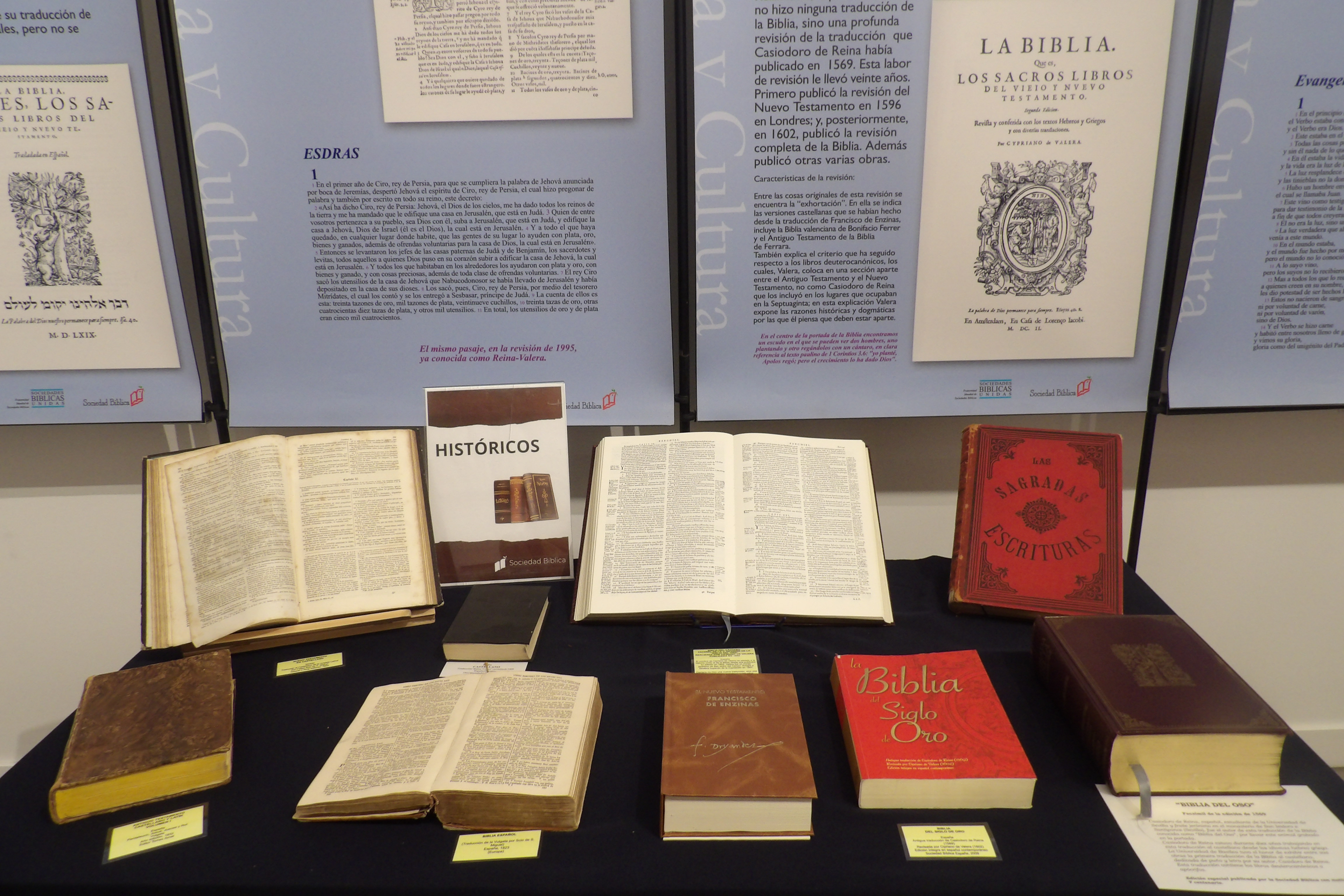 Algunos de los ejemplares que se muestran en la exposición.