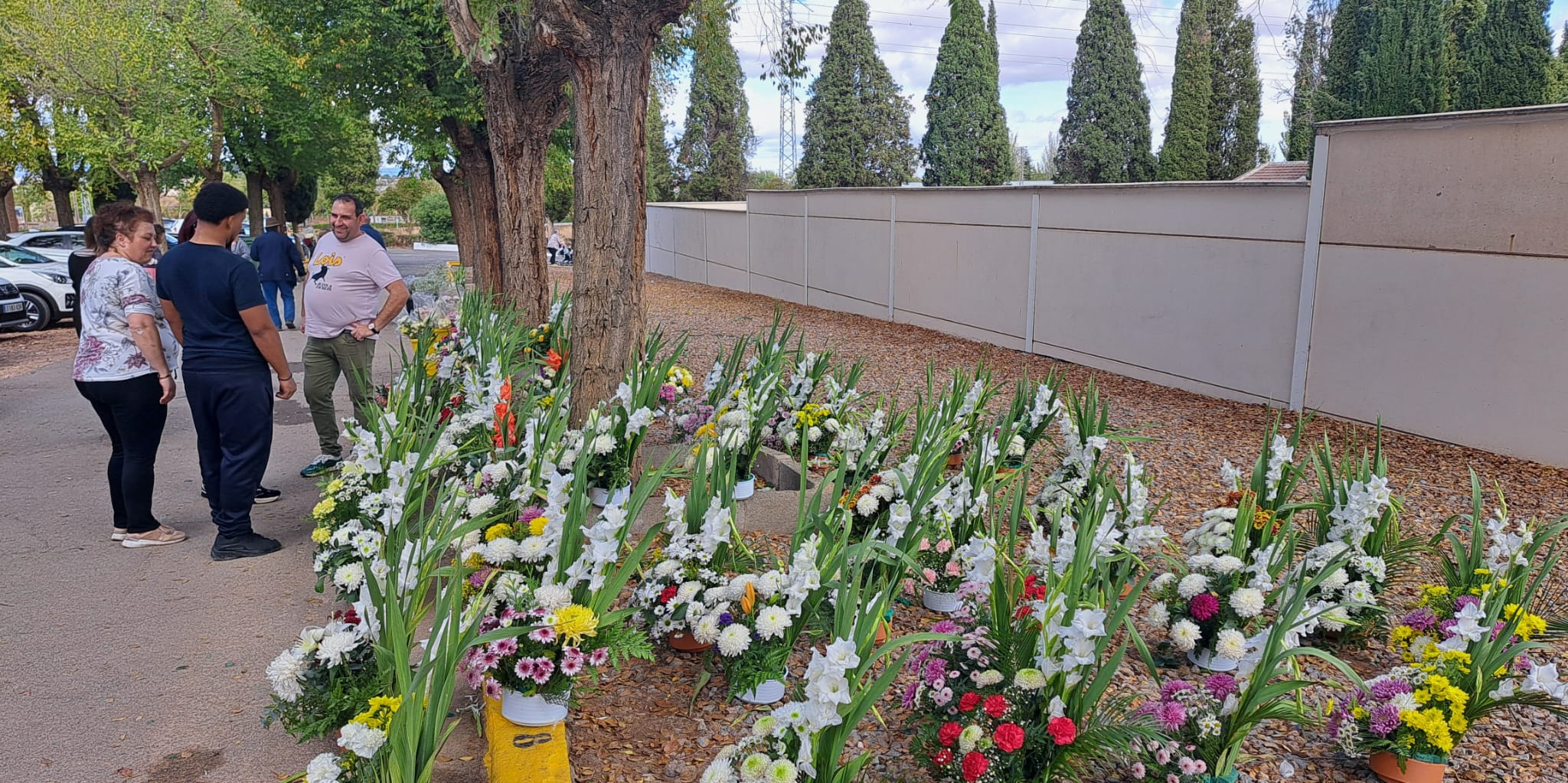 Día de Todos los Santos en Daimiel