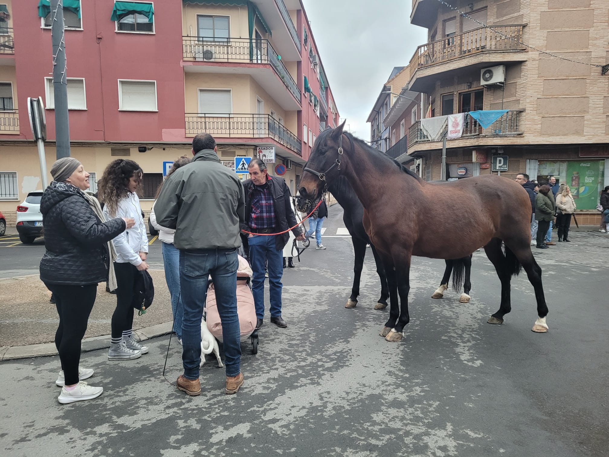 Perros, caballos y otras mascotas acudieron a la cita.