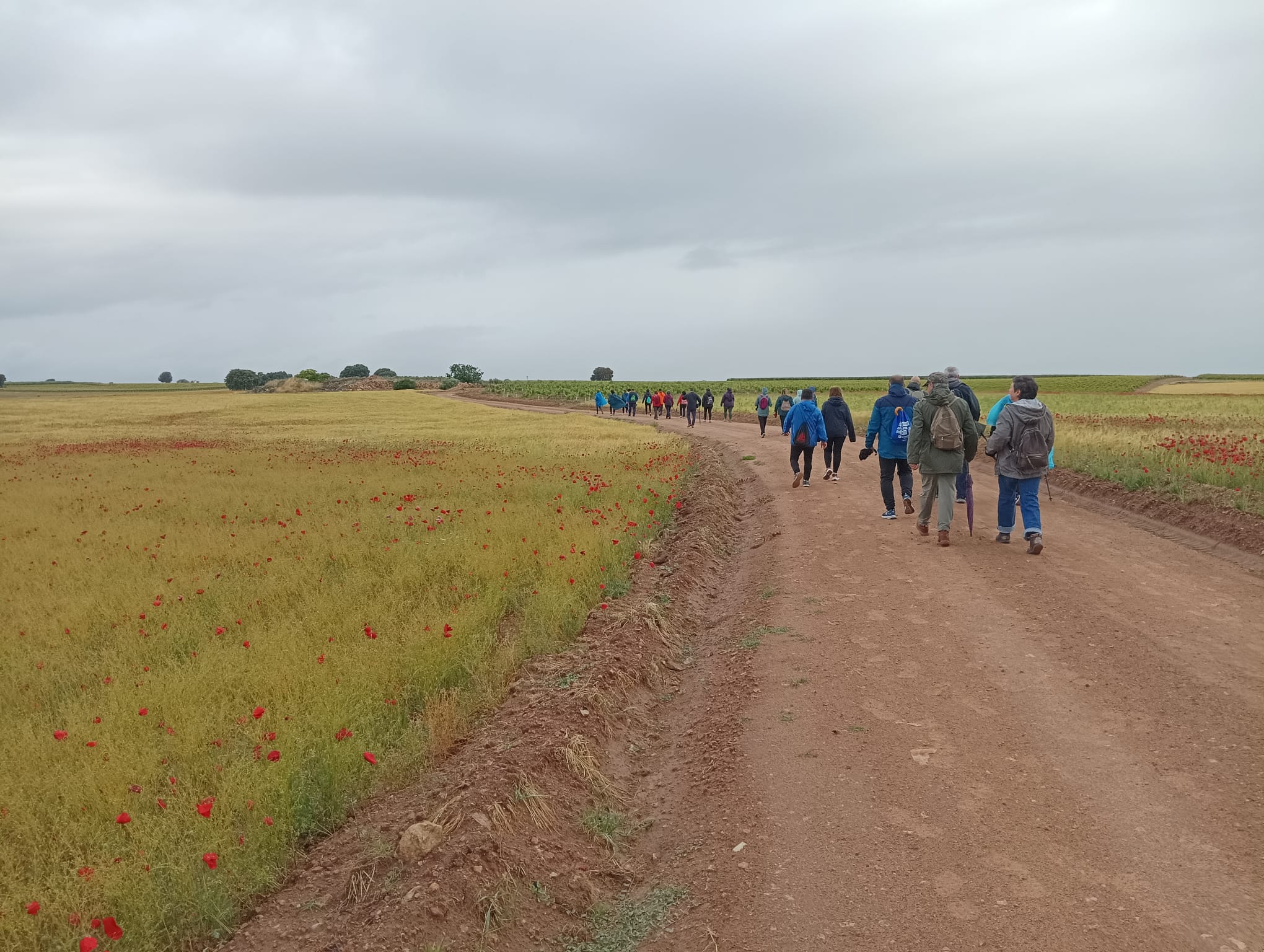 VIII Ruta “Camina y Aprende” organizada por FEDADA.