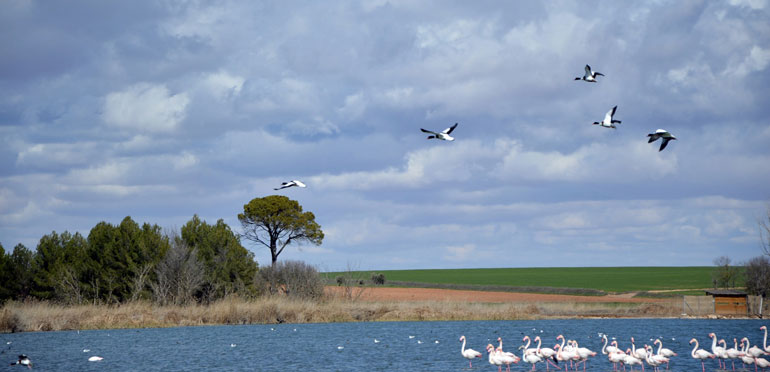 Paisaje laguna de Navaseca