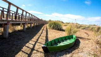 tablas de daimiel