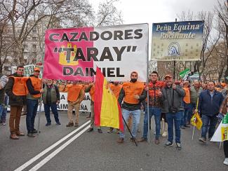 Manifestación 20M