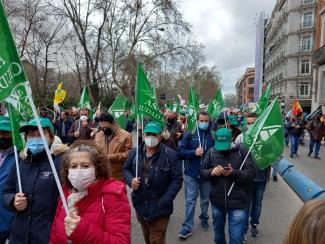 Manifestación 20M