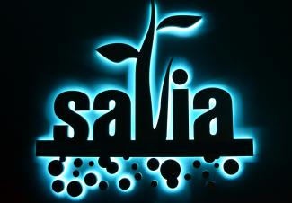 Savia