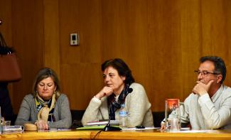 psoe pleno marzo