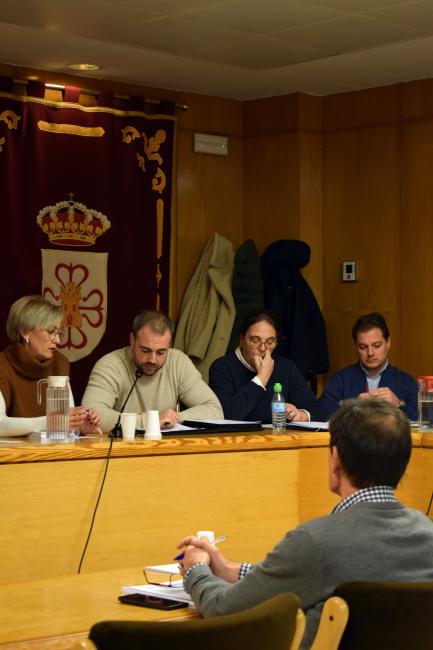 Borondo en el pleno