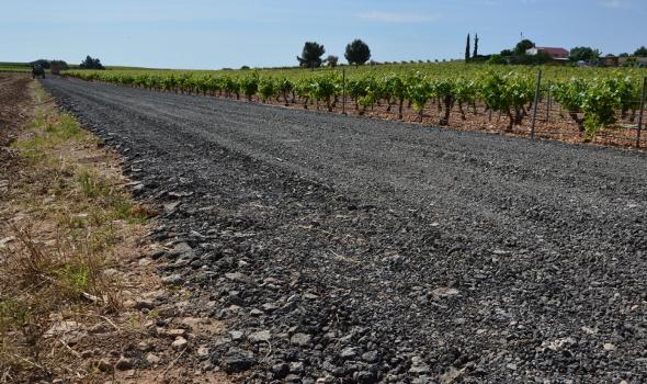 Camino rural del municipio daimieleño