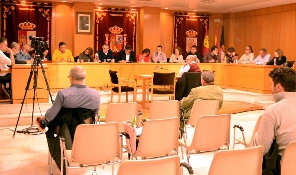 Pleno de Marzo