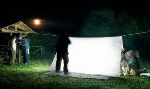 Testing nocturno (foto archivo 2018)