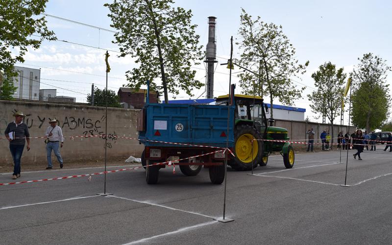 concurso habilidad de san isidro