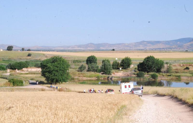 Daimiel, camina y aprende. Archivo fotográfico