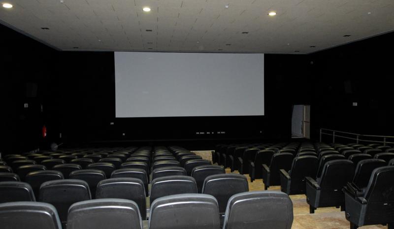 CINE DE DAIMIEL