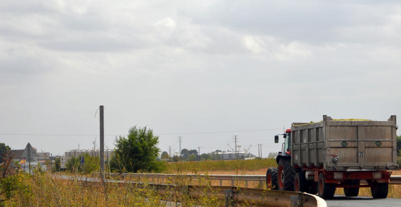 Tractor en Daimiel