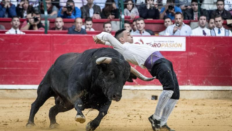 CONCURSO RECORTADORES