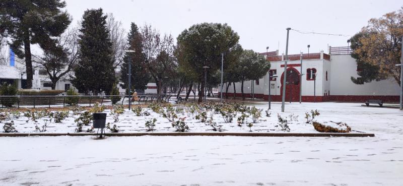 Parque El Carmen_nevada 7 enero 