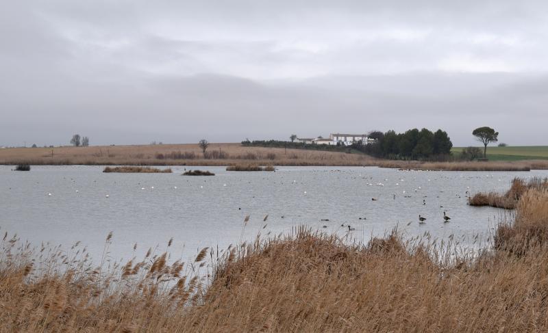 Laguna de Navaseca