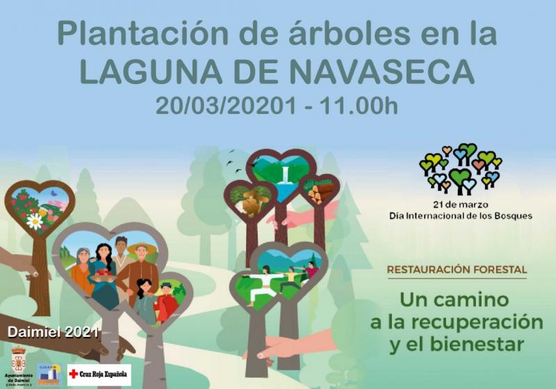 DÍA INTERNACIONAL BOSQUES