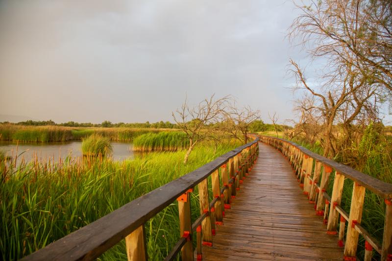 Las tablas de daimiel cabecera