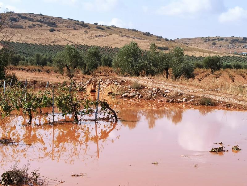 Imágenes: Guardería Rural