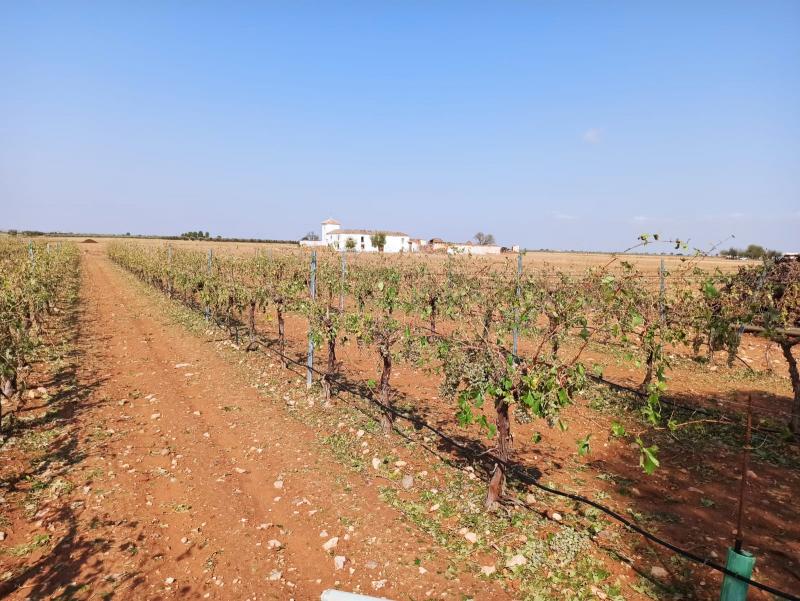 Imágenes: Guardería Rural