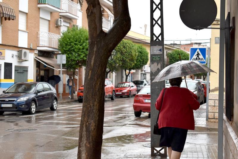 Lluvias en Daimiel