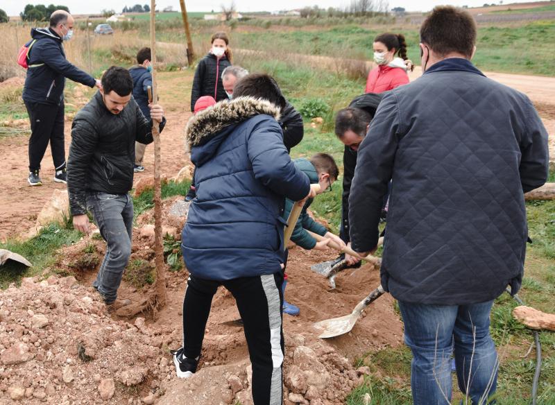 Plantación árboles