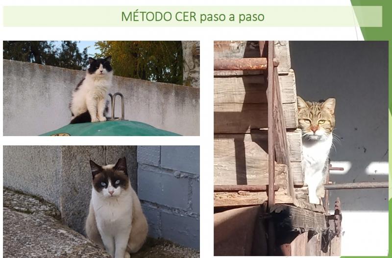 Método CER