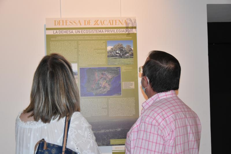 exposicion