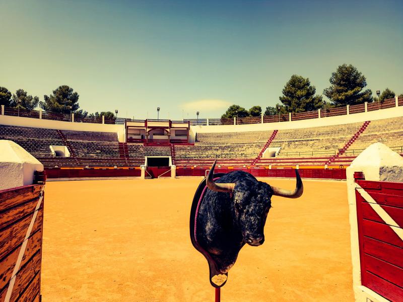 plaza_toros_pena_taurina.jpg