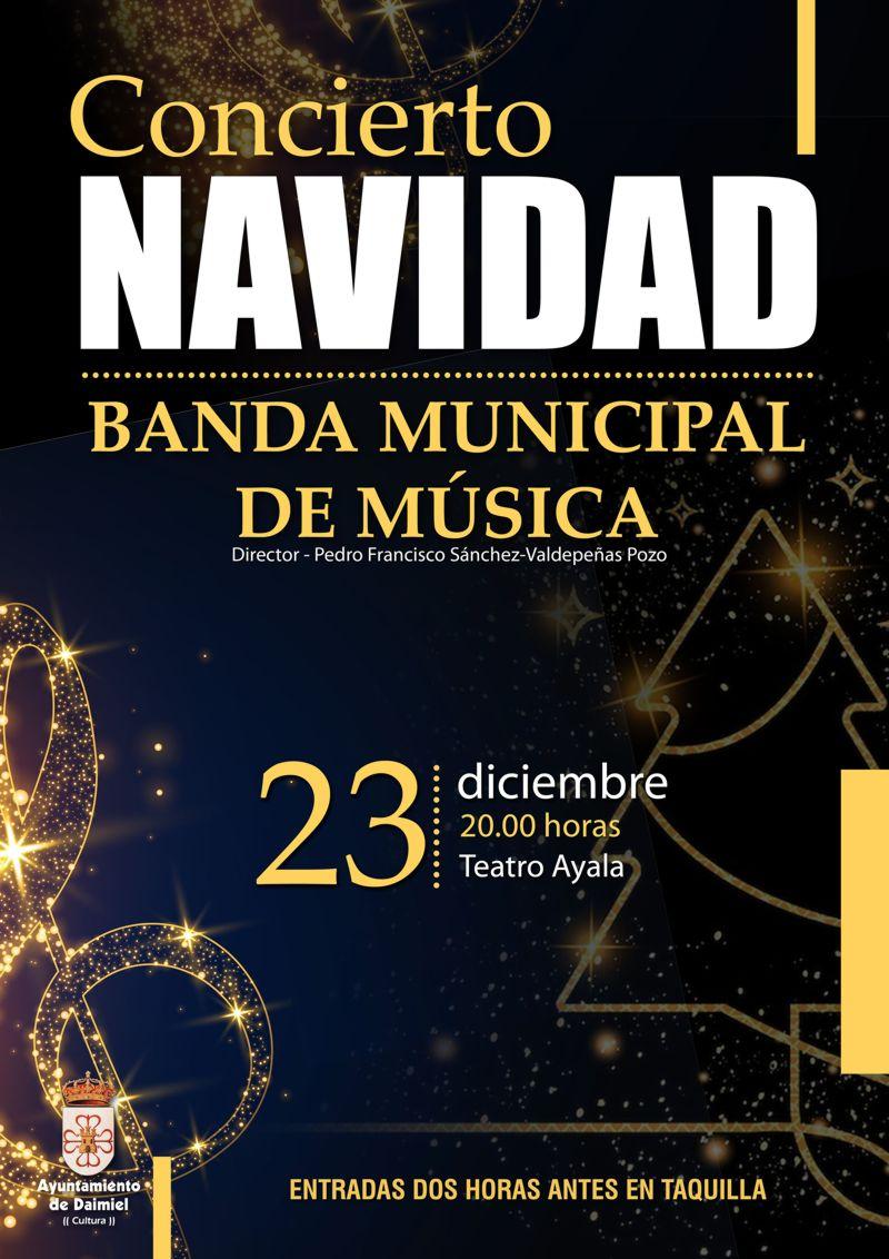 Cartel Concierto de Navidad