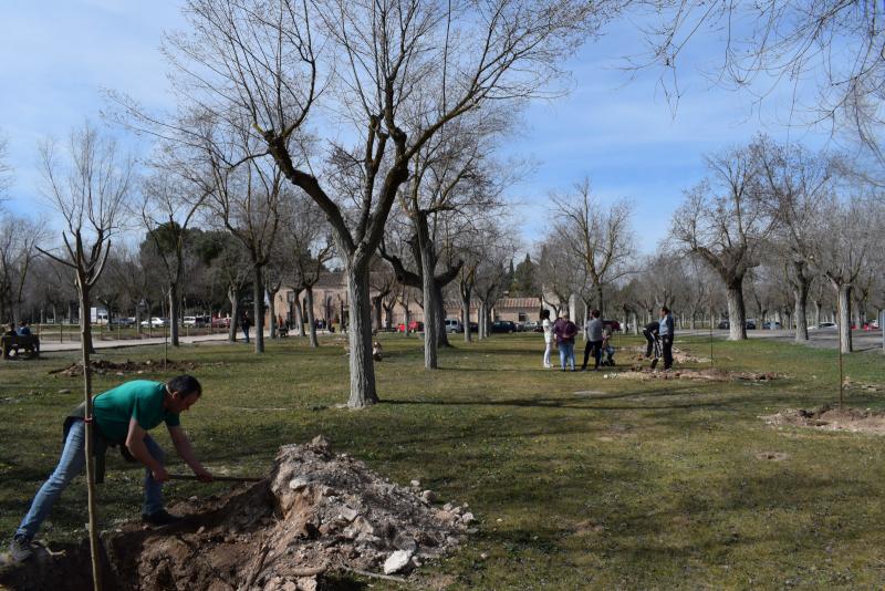 Reforestación en el santuario de la Virgen de las Cruces