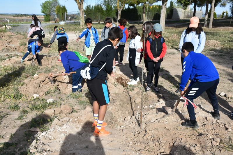 plantacion_arboles_santuario_virgen_cruces_3_2.jpg