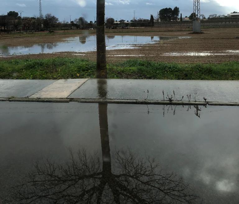 Agua acumulada por la lluvia en Daimiel 