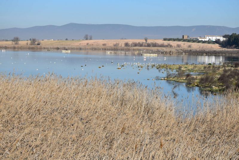 Laguna de Navaseca 