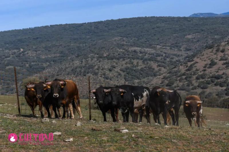 Finca Samuel Flores. Imagen de Santiago Román