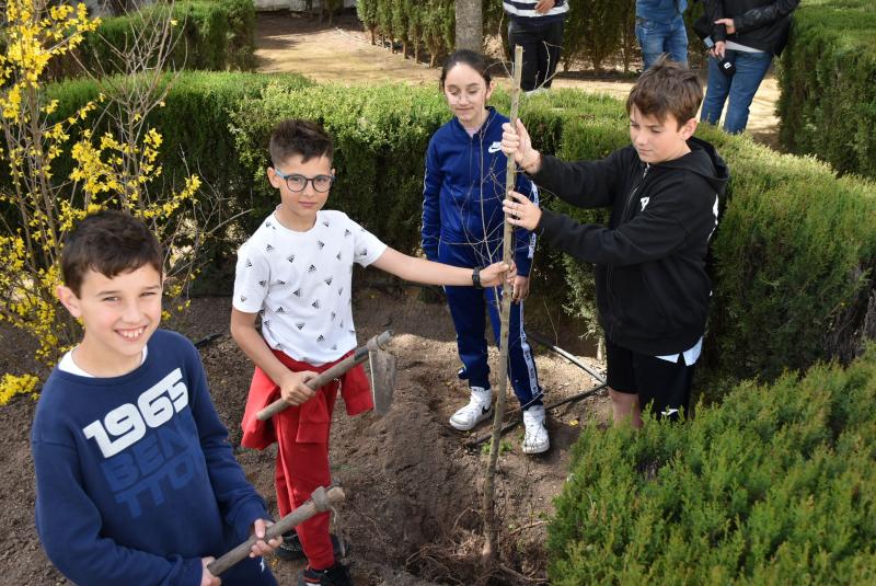 Durante la plantación 