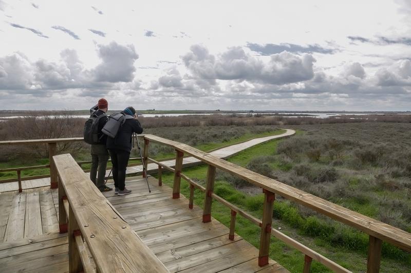 Visitantes en el observatorio del Parque Nacional Tablas de Daimiel (archivo)