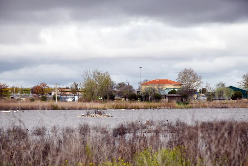 Laguna de Navaseca en primavera