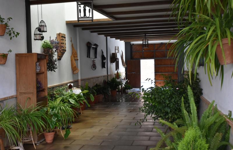 Patio manchego Prim, 34
