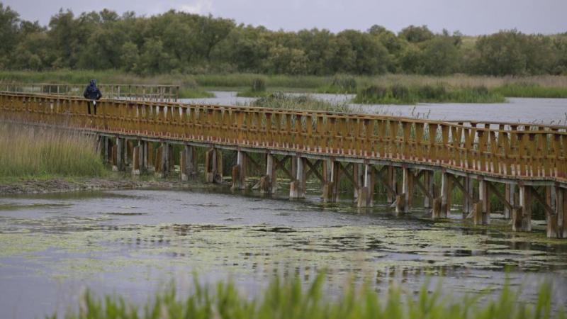 Tablas de Daimiel 
