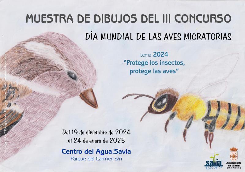 Cartel dibujos aves