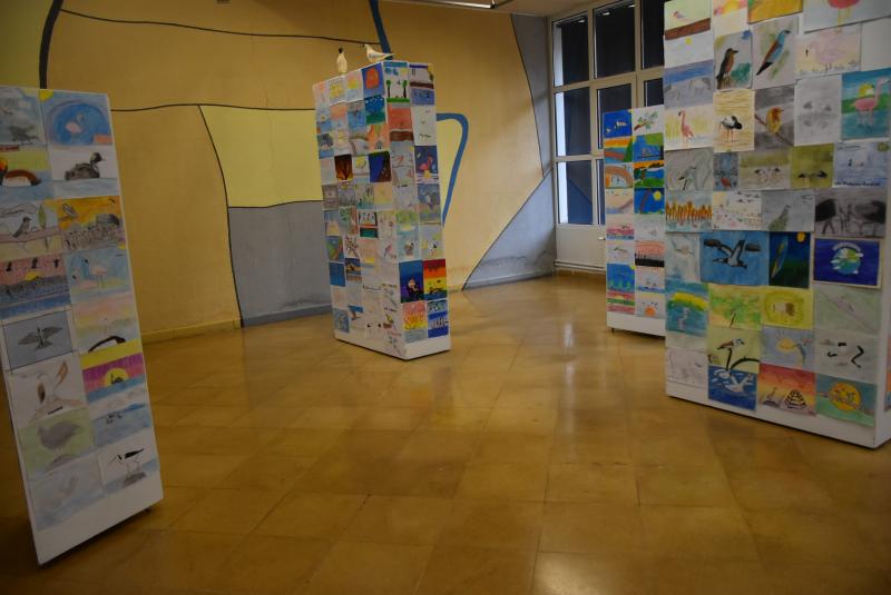 Exposición 