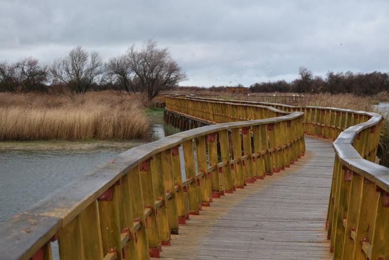 Tablas de Daimiel 